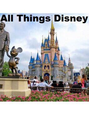 Disney items collective of All Things Disney